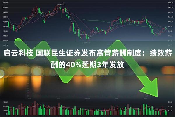 启云科技 国联民生证券发布高管薪酬制度：绩效薪酬的40%延期3年发放